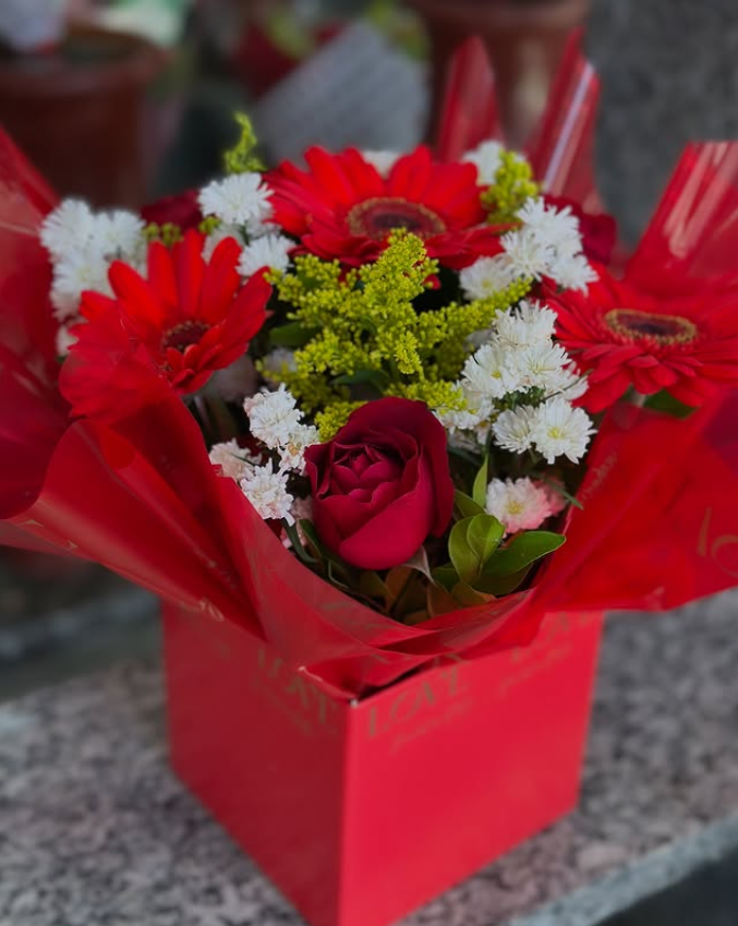 Post Flora Destak 2